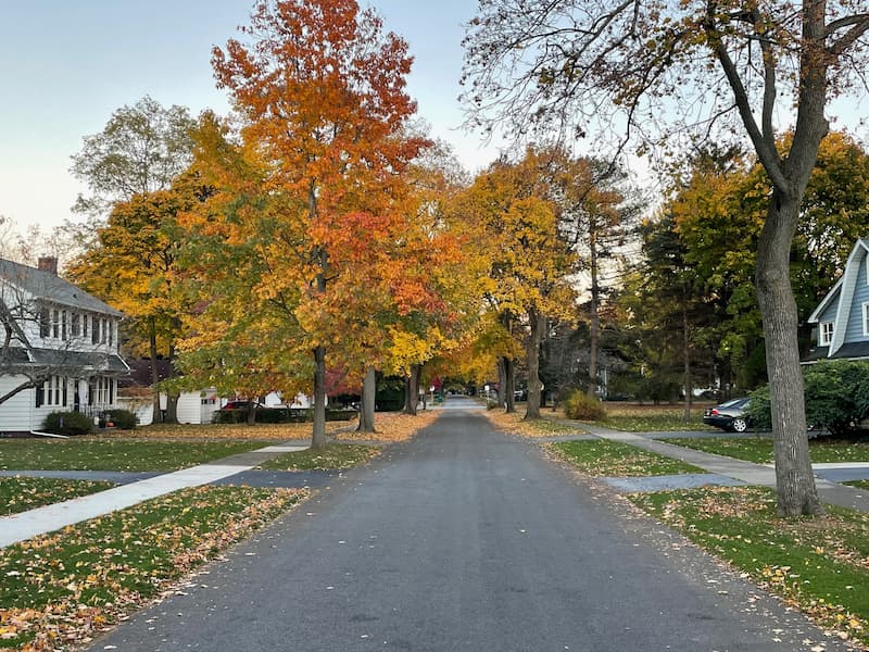 A paved suburban street lined with red and orange autumn trees